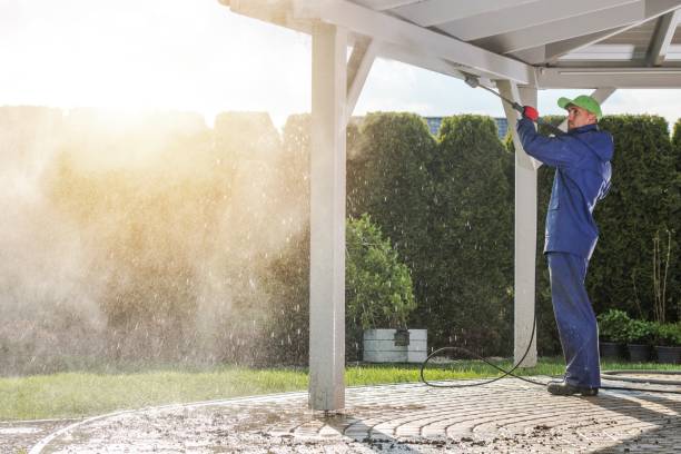 Best Soft Washing  in Panorama Village, TX