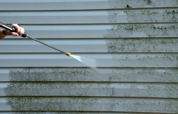 Best Gutter Cleaning  in Panorama Village, TX